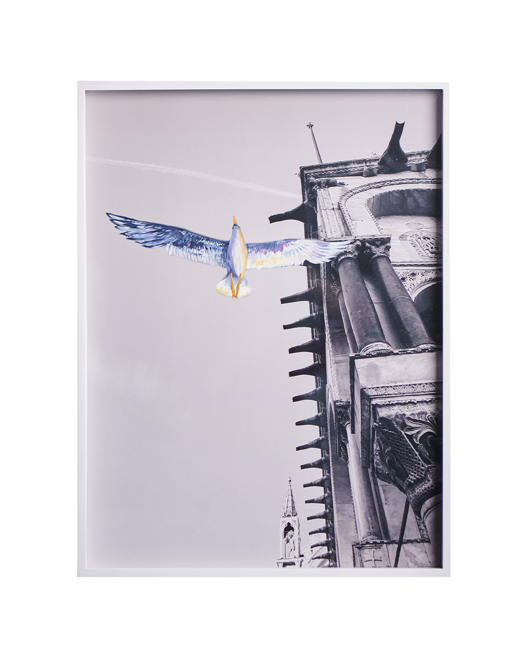 Camía Sahagún Volando Venecia